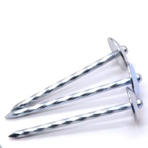 Steel Twisted Shank Galvanized Finished Assembled Head Umbrella Roofing Nail